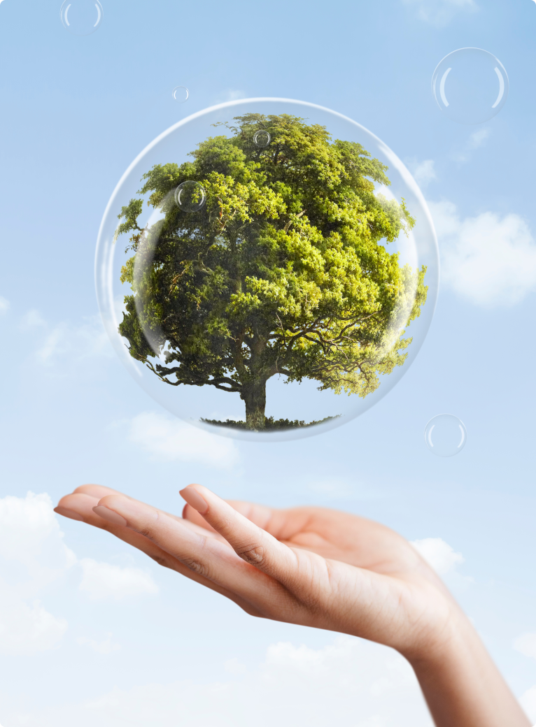 Dịch Vụ Tư Vấn